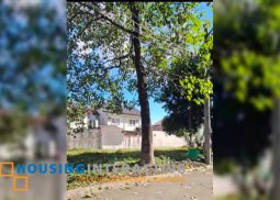 lot for sale in cainta rizal