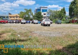 industrial lot for sale in novaliches, quezon city