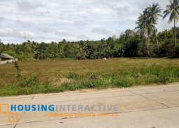 prime lot for sale in dumaguete city