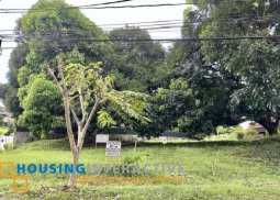 lot for sale in acacia  st. ayala alabang village, muntinlupa city