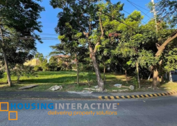 lot for sale in apo st. ayala alabang muntinlupa city