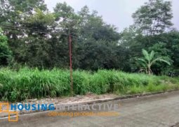 lot for sale in la montana subdivision antipolo city