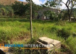 lot for sale in dipulao, poblacion vi coron, palawan