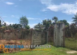 lot for sale in  san miguel, bacong, negros oriental