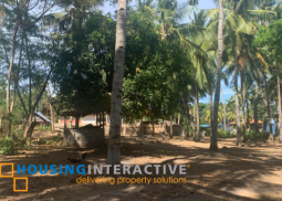 lot for sale in maayong tubig, dauin, dumaguete city