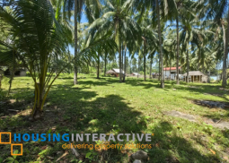 lot for sale in maayong tubig, dauin, dumaguete city