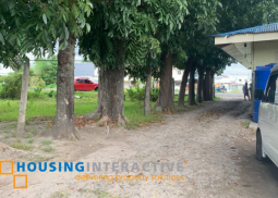 lot for sale in junob, dumaguete city