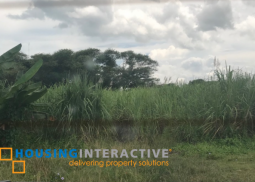 lot for sale in talungon, bais city