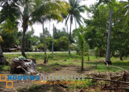 lot for sale in dapitan, manukan zamboanga del norte
