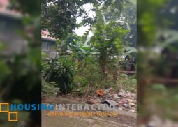 lot for sale in noel's village brgy., dolores taytay rizal