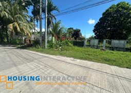lot for sale in dumaguete city