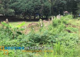 lot for sale in valencia, negros oriental