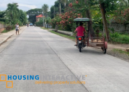 lot for sale in lower cantil-e, dumaguete city