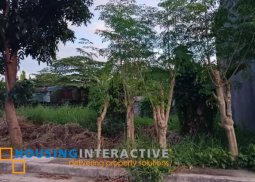lot for sale in  binangonan rizal