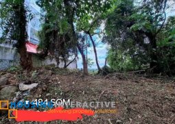 lot for sale in parkridge estate antipolo,city