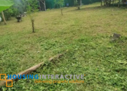 lot for sale in  liptong, valencia,. dumaguete city