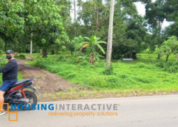 lot for sale in malabog, pamplona