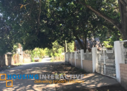 lot for sale in poblacion, bacong