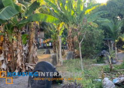 lot for sale in junob, dumaguete city