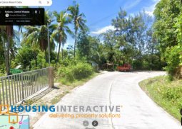 lot for sale in poblacion boljoon, cebu