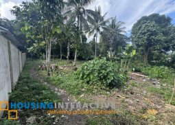 lot for sale in valencia, dumaguete city