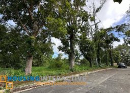 lot for sale in tagaytay