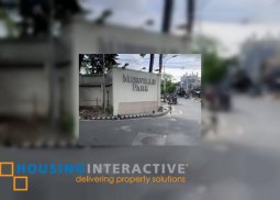 6br house for lease in merville park village