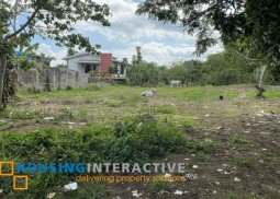 for sale commercial lot for sale in amadeo, cavite