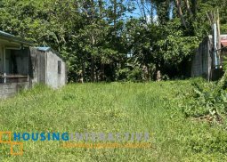 commercial lot for sale in silang, cavite