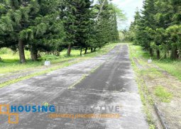 residential lot for sale in crisanto, amadeo