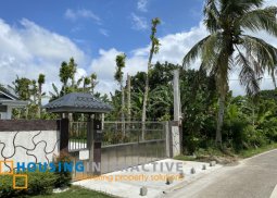 residential lot for sale in amadeo