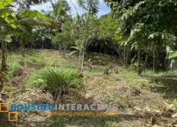 commerciallot for sale in amadeo, cavite