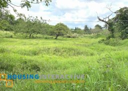 commerciallot for sale in amadeo, cavite