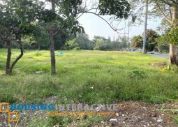 commercial lot for sale in amadeo, cavite