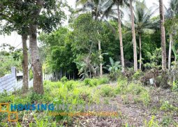 commercial lot for sale in amadeo, cavite