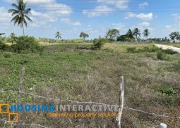 commercial lot for sale in amadeo, cavite