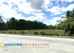 commerciallot for sale in amadeo, cavite