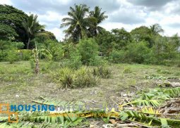 commercial lot for sale in tanza, cavite