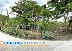 corner lot unit for sale in tanza, cavite