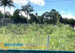commercial lot for sale in amadeo, cavite