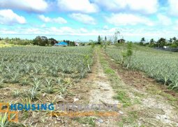 commercial lot for sale in silang, cavite
