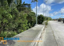 commercial lot for sale in amadeo, cavite
