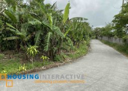 commercial lot for sale in silang, cavite