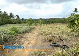 commercial lot for sale in silang, cavite