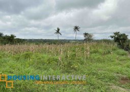 commercial lot for sale in silang, cavite