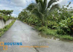 3.8ha lot with 300m+ frontage to brgy road, silang. p3.5k/sqm