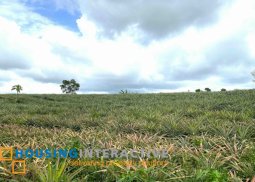 8.5ha titled lot for sale, silang. close to new ctbex project and calax.p3.5k/sqm
