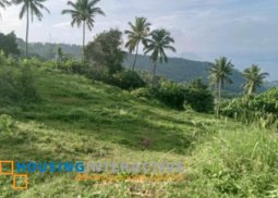 taal view. 14ha titled property. p3.5k/sqm (neg)