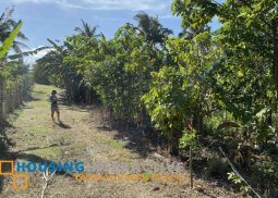500sqm titled lot for sale, bucal, amadeo. great price - just p3.5k/sqm