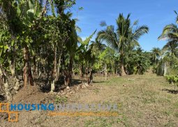 unbelievable price p3.5k/sqm - 1016sqm titled lot for sale, bucal, amadeo.